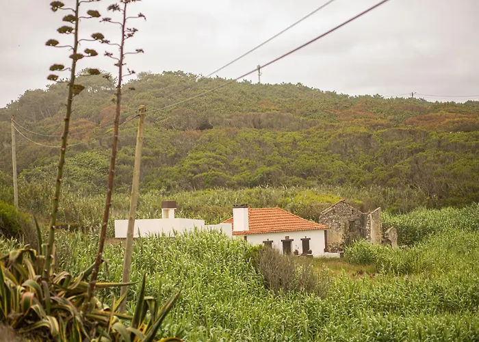 Panorama Seaview House Tatil Evi Marinha Grande