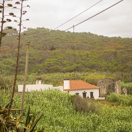Panorama Seaview House Vakantiehuis Marinha Grande